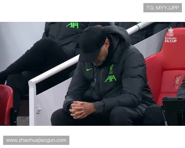 诺维奇展现出持续提升的状态，球队连胜引发球迷热潮