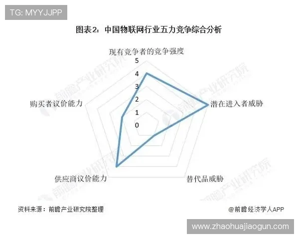 南美足球俱乐部分布格局与区域竞争态势分析
