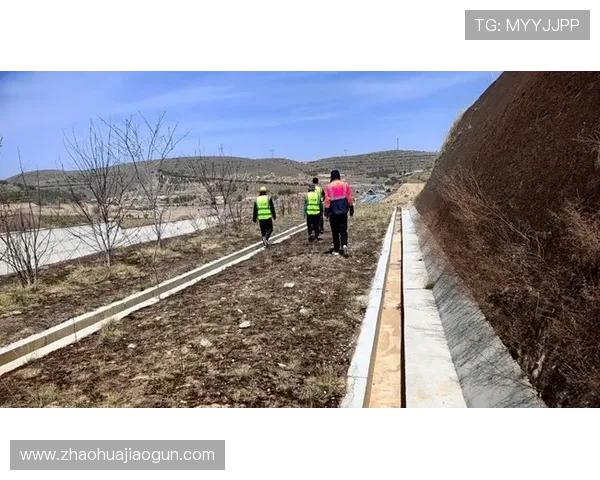 库拉索防线稳定性评估 库拉索防线稳定性评估